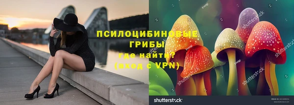 гашишное масло Богданович