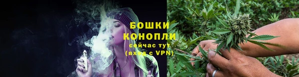 Альфа ПВП Бородино