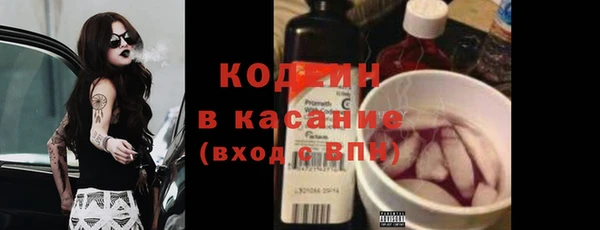 Альфа ПВП Бородино