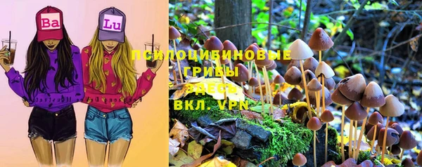гашишное масло Богородицк